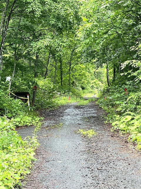 �����|�����Ă���L��ѓ�