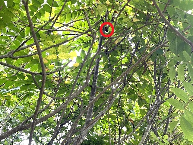 �q���I�I�y�A