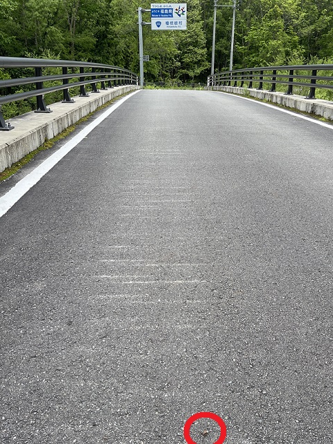 �R�u���n�Y�J�~�L��