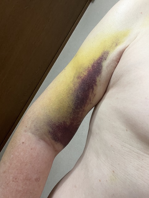 ���F�Ɖ��F