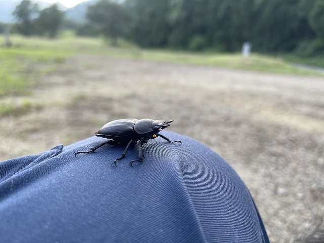 �m�R�M����