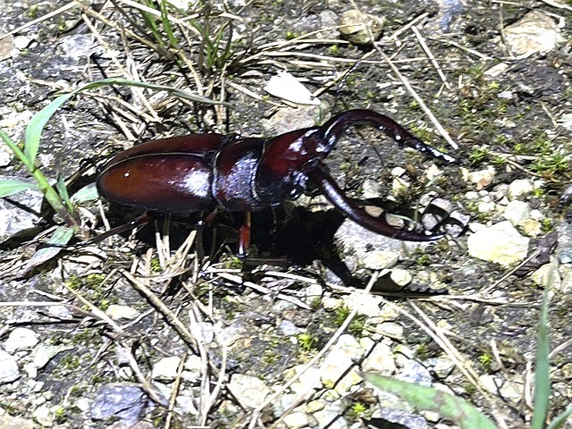 �m�R�M����