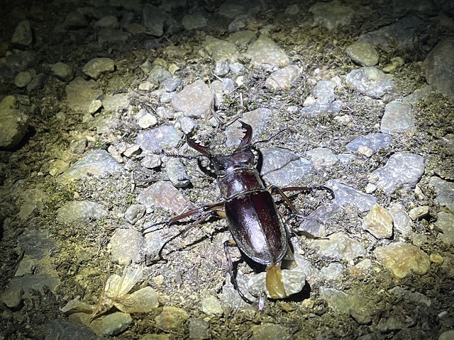 �~���}��