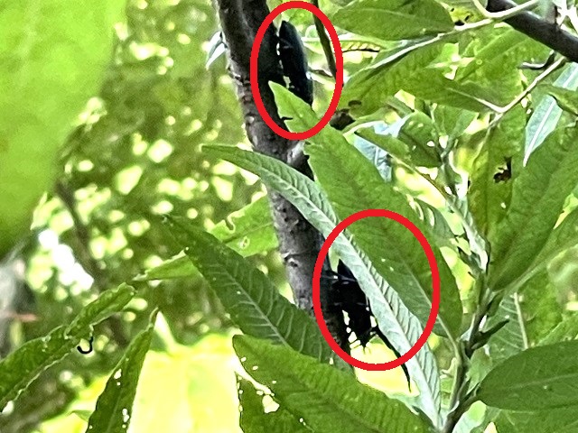 �A�J�A�V�y�A+��