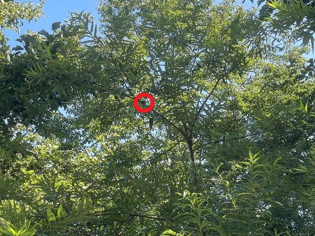 �q���I�I�y�A