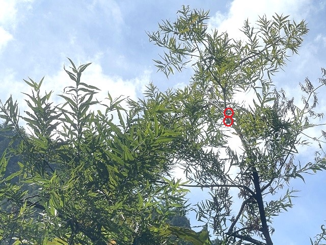 ������^^;