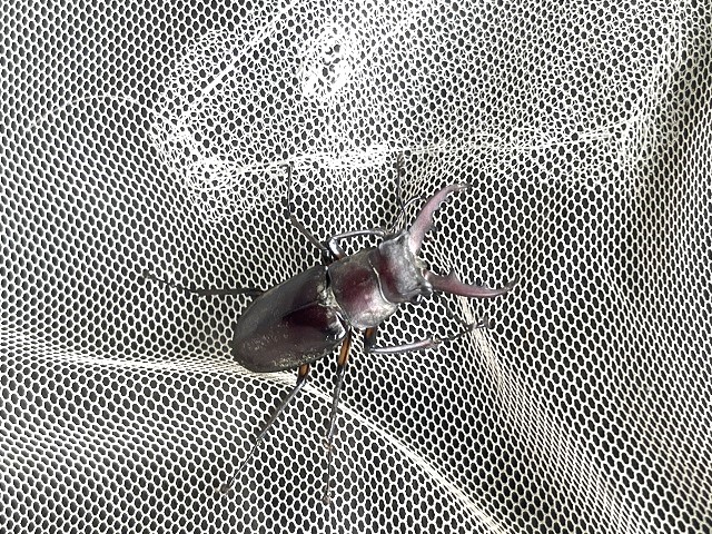 �~���}��