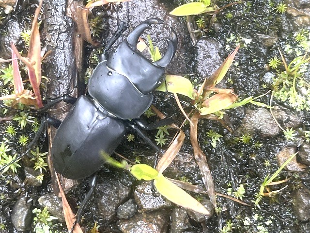 �n�ʂɗ������Ƃ��Ă��w�[�L^^