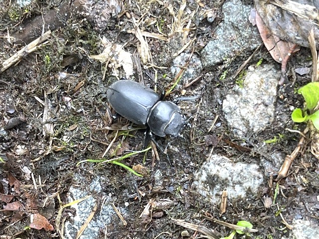 �q���I�I��