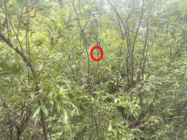 �q���I�I��