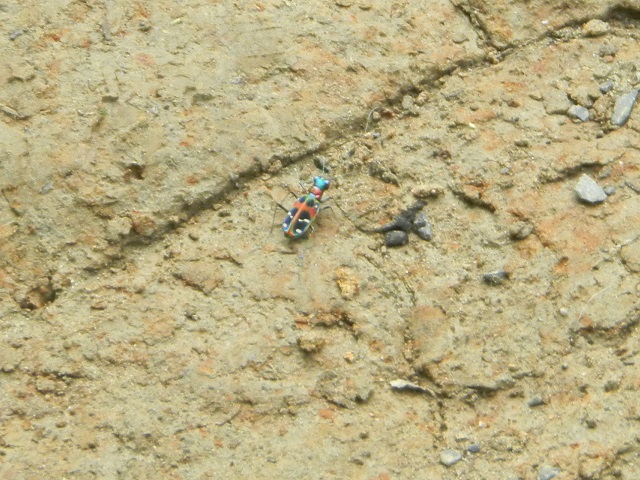 �n���~���E��