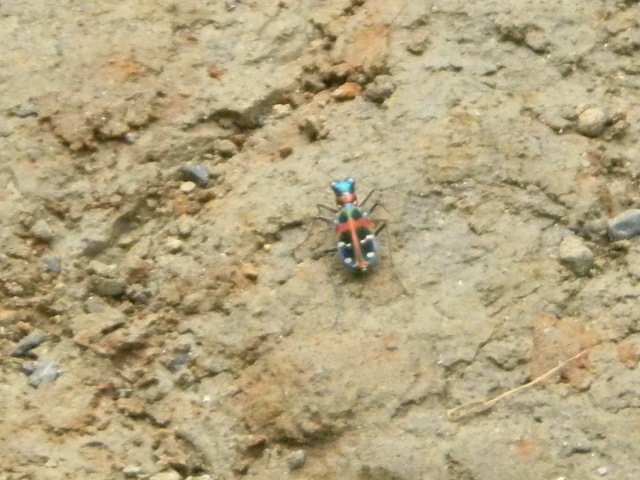 �n���~���E��