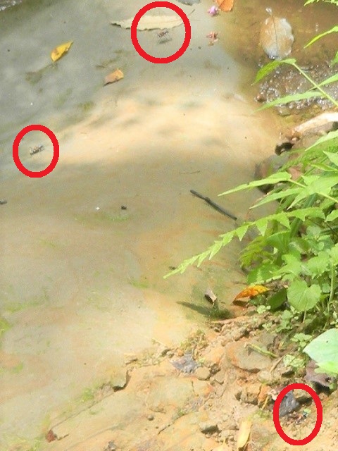 �n���~���E2��1��