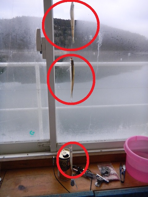 �B��̃g���v��