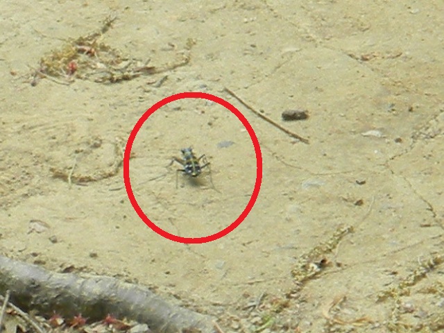 �n���~���E�]��