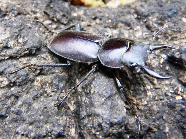 �R���@�����Z