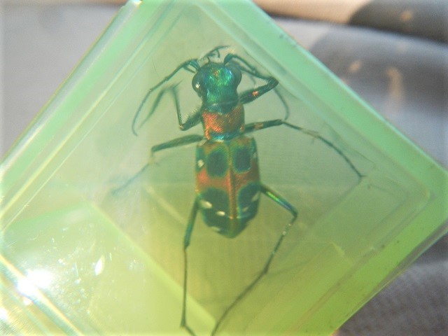 �n���~���E��