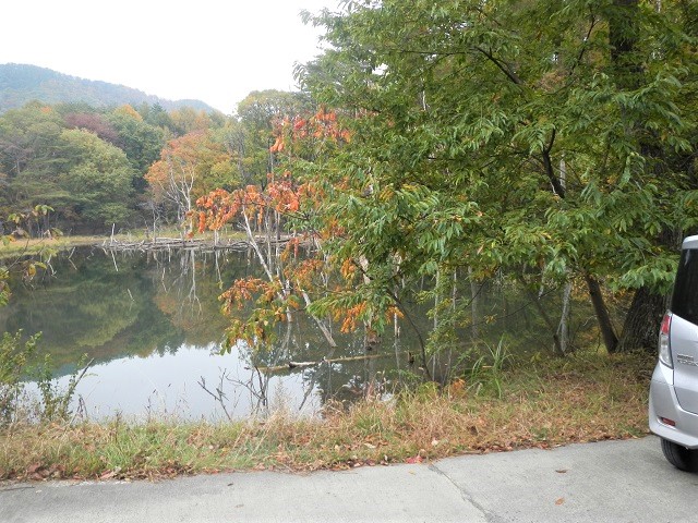 �x���c����|�C���g