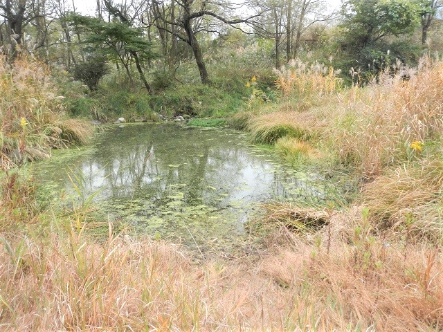 �Ă�Ă񂳂�|�C���g