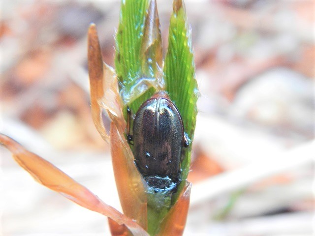 ���L�O�j�R������