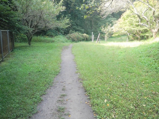 �n���~���E�|�C���g