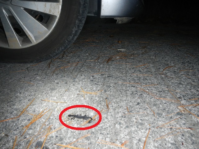 �N���}�̉��ɓ��荞�ރA�J�n���C����