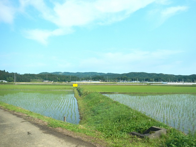 �Z�n������