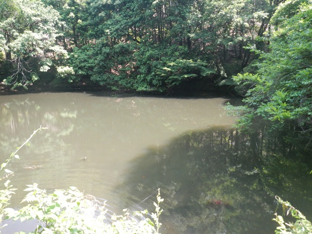 �u�U���K�j�V���v�r