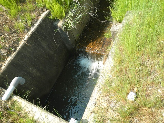 �^�C�R�E�`�E�~�Y�J�}�L���̏Z��