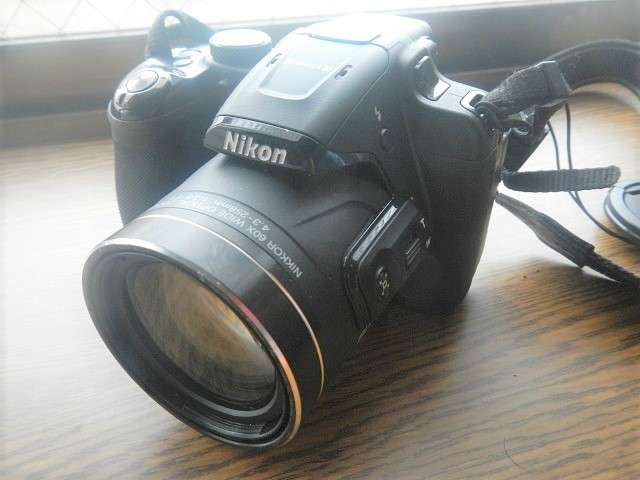 Nikon COOLPIX P610