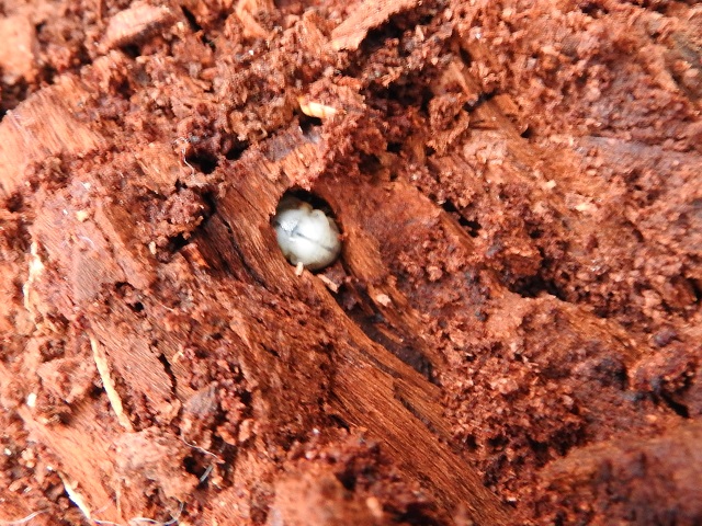 �~���}�c���n�_�c��