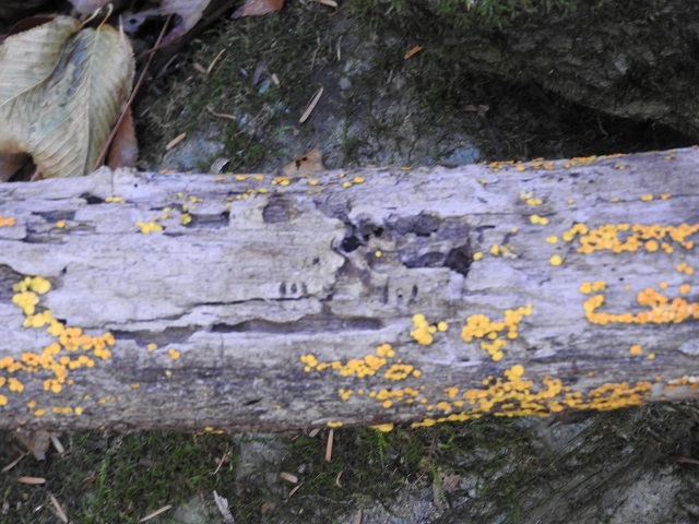 �z�\�c������?�Y���}�[�N