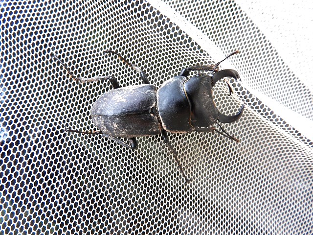 �q���I�I��