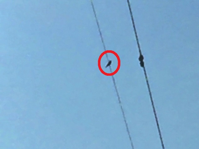 �u�b�|�E�\�E