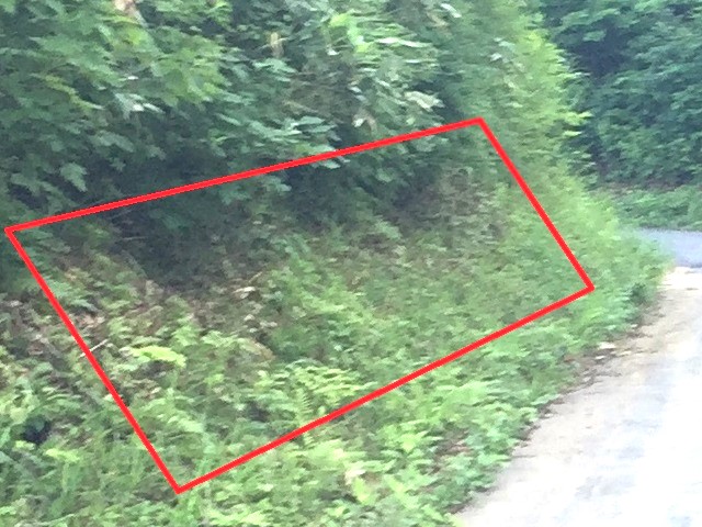 �����ς����郂�E�Z���S�P