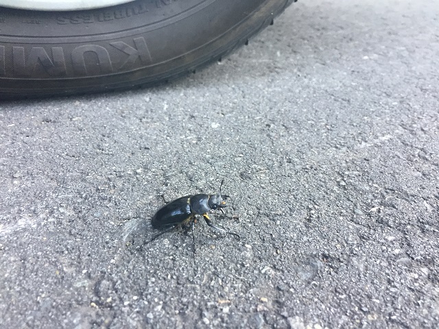 �~���}��