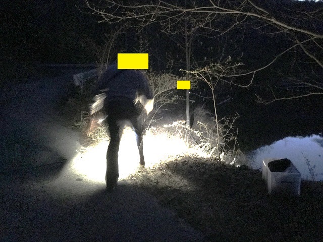 ���������􂳂�