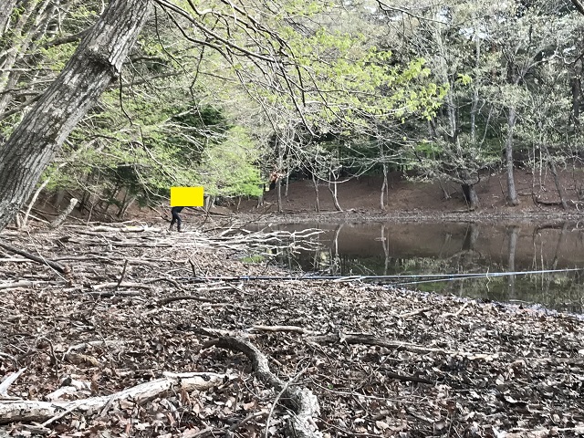 �啨�_���̃T�C����