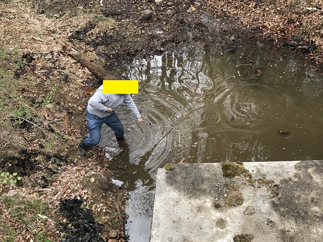 �Q���S���E2���������炵��