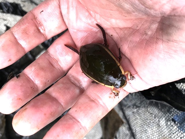 �Q���S���E1��