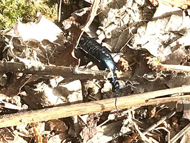 �c�`�n���~���E?